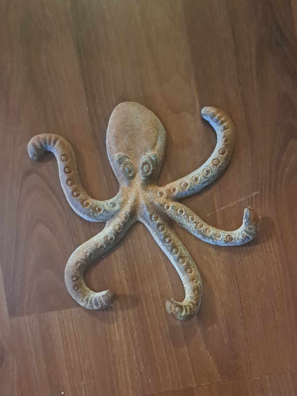 Cast Iron Octopus Wall Hook - Weathered Aqua Finish